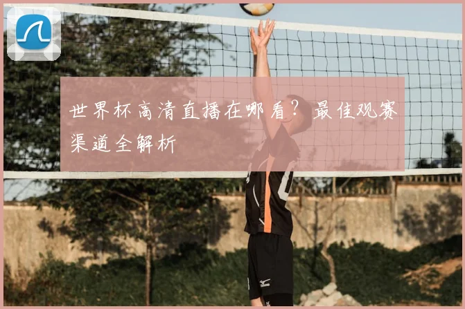 世界杯高清直播在哪看?最佳观赛渠道全解析