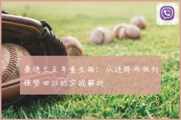 桑德兰五年重生路:从连降两级到强势回归的实战解析