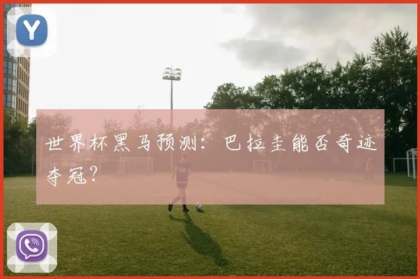 世界杯黑马预测:巴拉圭能否奇迹夺冠?